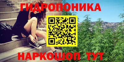 mix Гусиноозёрск