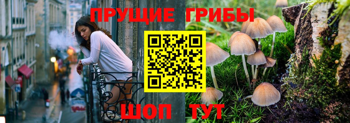 Псилоцибиновые грибы Cubensis  Псилоцибиновые грибы Psilocybine cubensis  Миллерово  Вход с VPN 